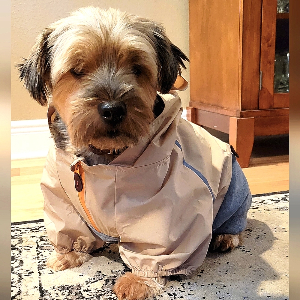 ❤️Host Pick❤️ Dog Hoodie with Reflective Accents L